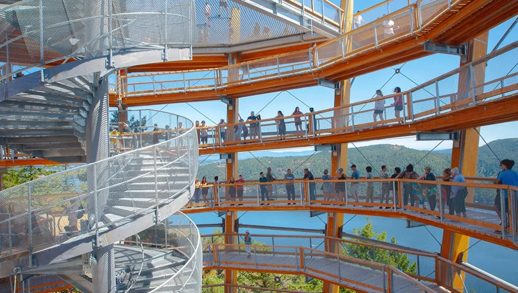 https://res.cloudinary.com/see-sight-tours/image/upload/v1738825044/strapi/malahat_30d6e9d47f.webp