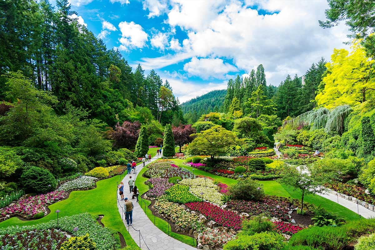 https://res.cloudinary.com/see-sight-tours/image/upload/v1754657738/strapi/4_0405152d23.jpg