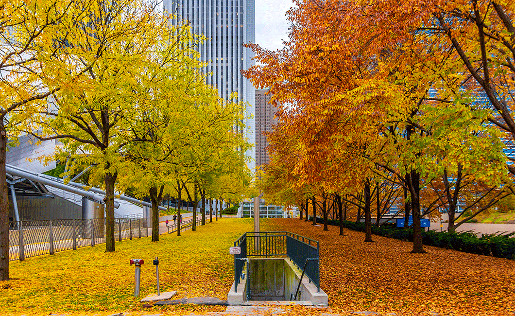 https://res.cloudinary.com/see-sight-tours/image/upload/v1756817282/strapi/2_a8d27be004.png