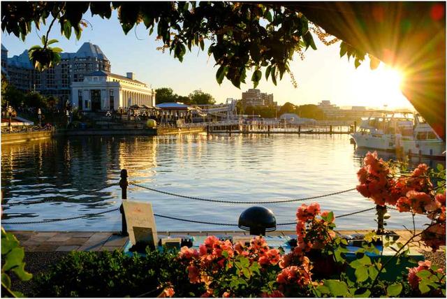 The Best Time to Visit Victoria - See Sight Tours