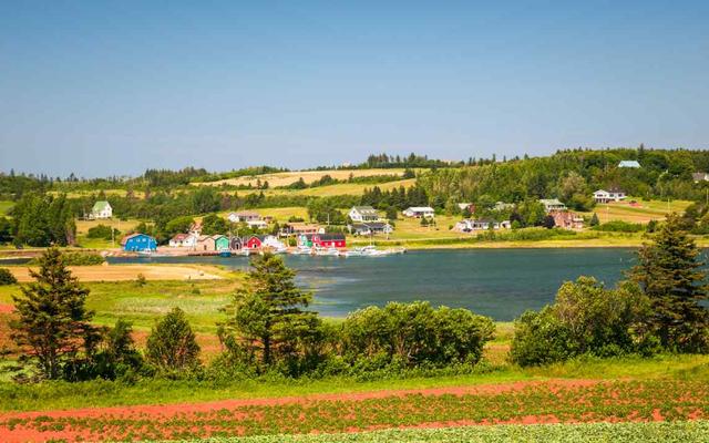 Visiting Prince Edward Island in August 