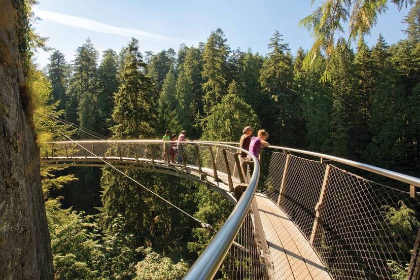 Ultimate Vancouver Tour with Capilano Suspension Bridge and Lunch.jpg