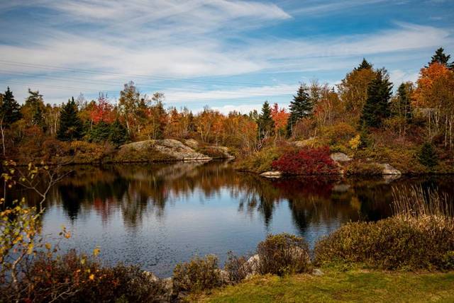 Rockwood Park Saint John Tour.jpg