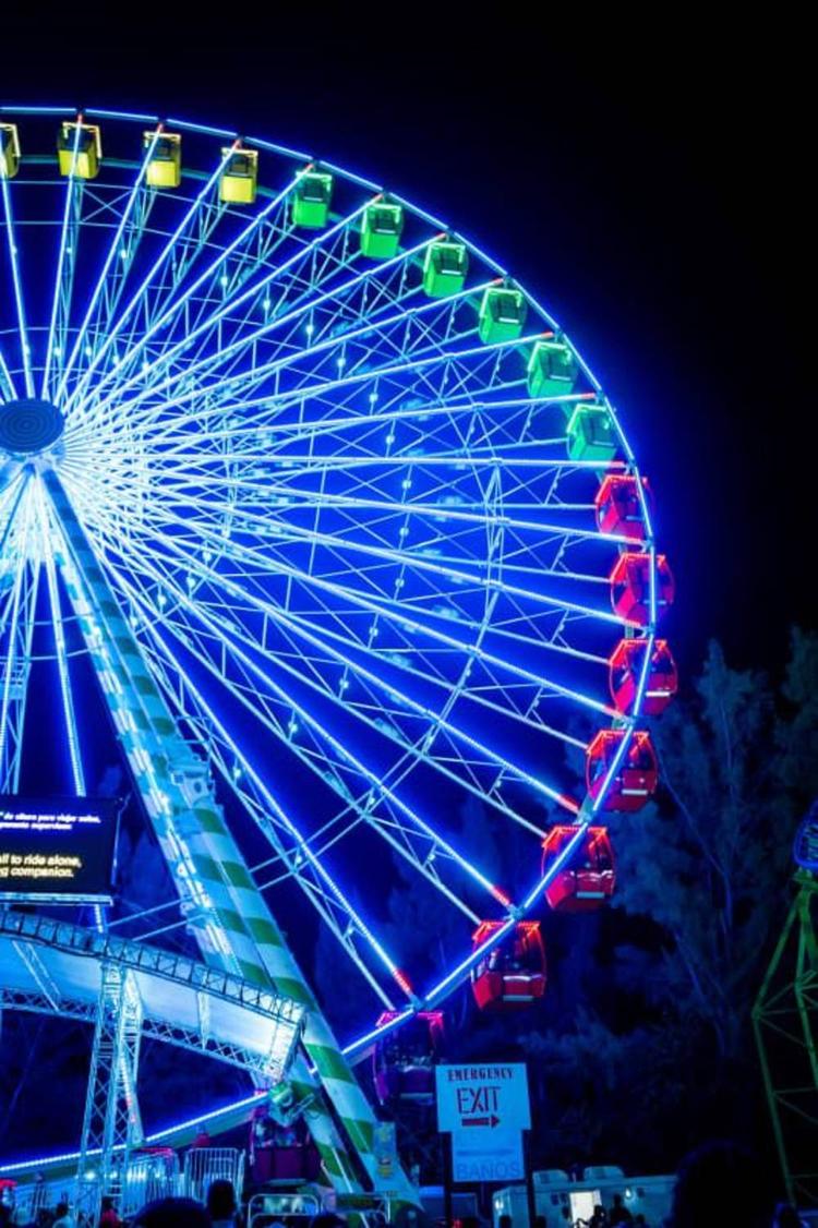 Scenic Miami Night Tour image 1