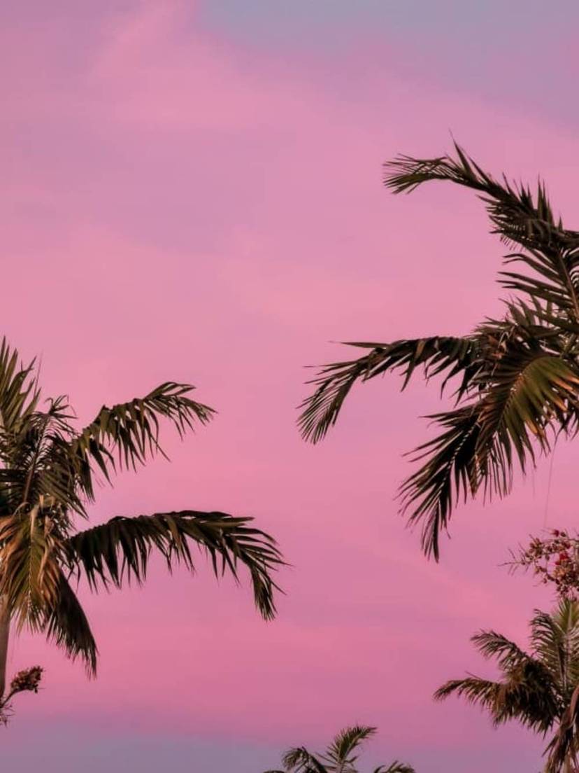 Miami Night Tour.jpg