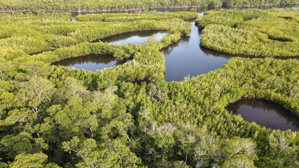 Everglades Safari National Park Airboat in 2024