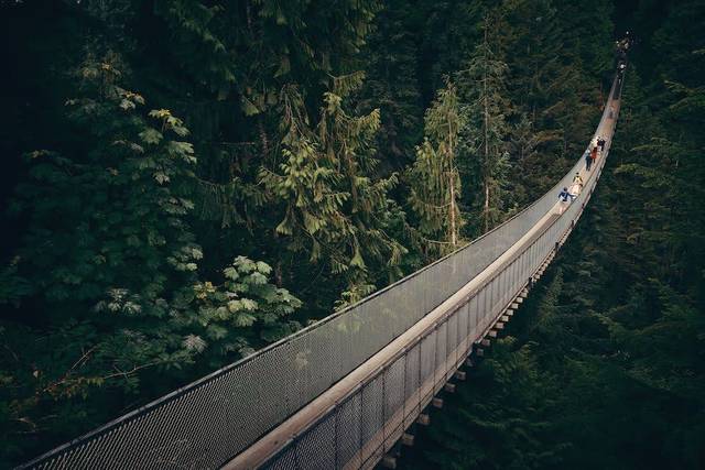 Scenic Vancouver Twilight Tour Capilano Dusk.jpg