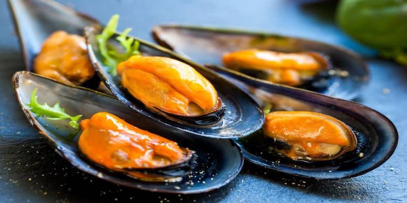 Enjoy Mussells Lunenburg Seafood Walking Tour.jpg