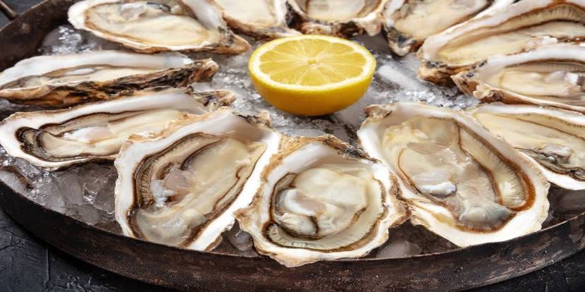 Harbourfront Halifax Food Walking Tour.jpg.jpg