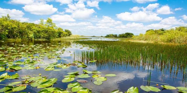 Express Everglades from Miami with Airboat Ride.jpg