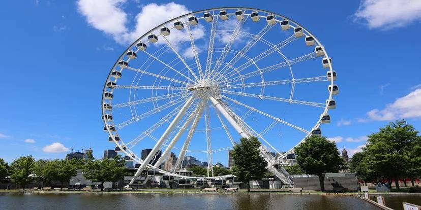 Visit Le Grand Roue Small Group Walking Tour with River Cruise + Notre Dam.jpg