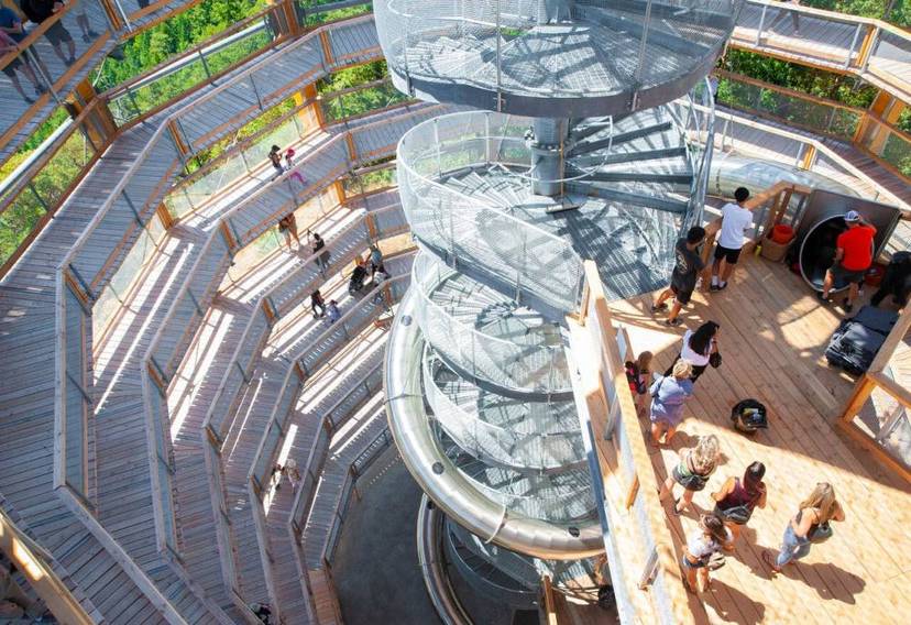 Scenic Victoria Tour Malahat Skywalk and Butchart Gardens.jpg