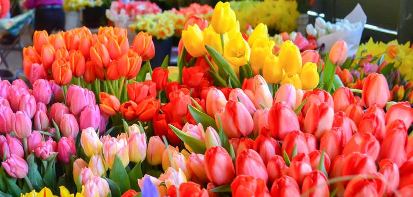Pike Place Market Tour.jpg