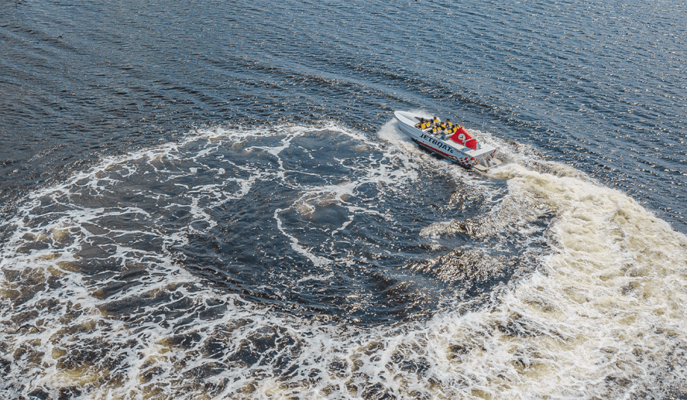 See Sight Tours Jetboat Tour - Reversing Falls Rapids in 2024