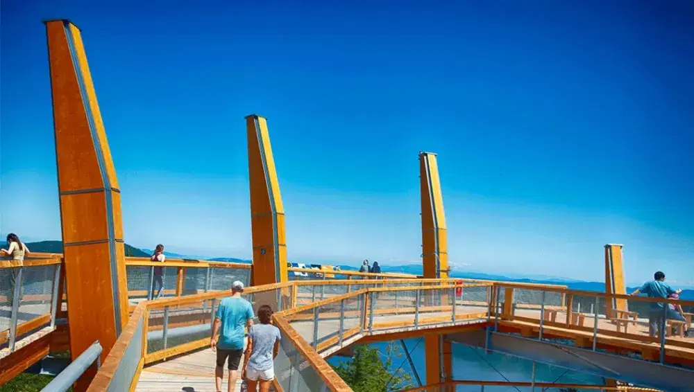 Malahat Skywalk in 2024