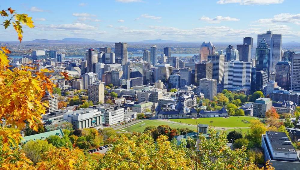 Mount Royal in 2024