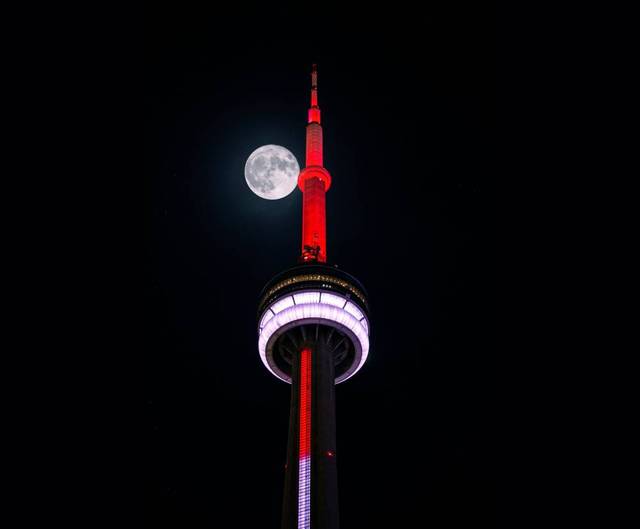 Scenic Toronto Night Tour including CN Tower.jpg