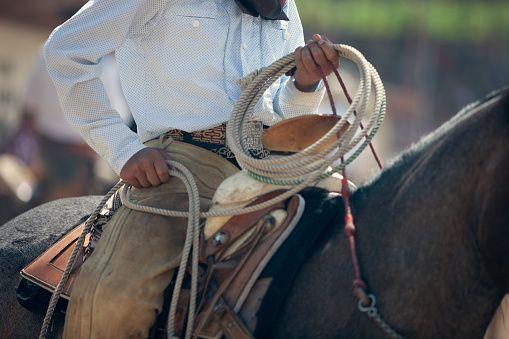 San Antonio Stock Show and Rodeo - See Sight Tours