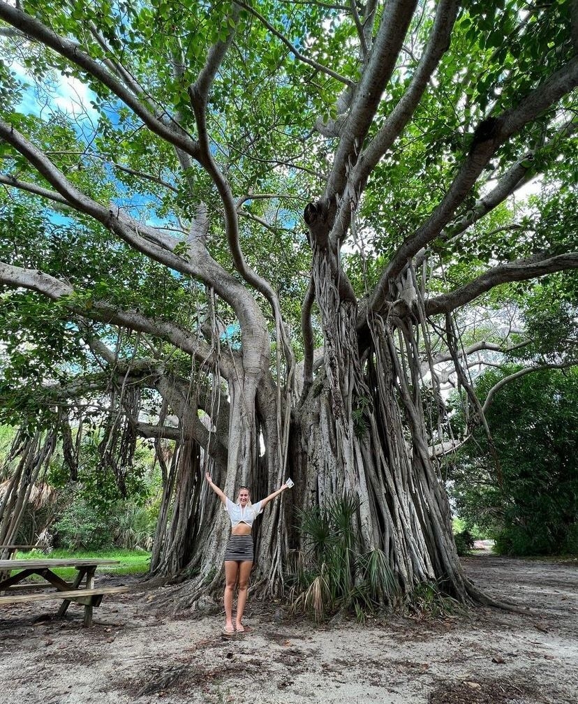 https://res.cloudinary.com/see-sight-tours/image/upload/v1667218804/strapi/Birch_State_Park_d0a1eade3d.jpg