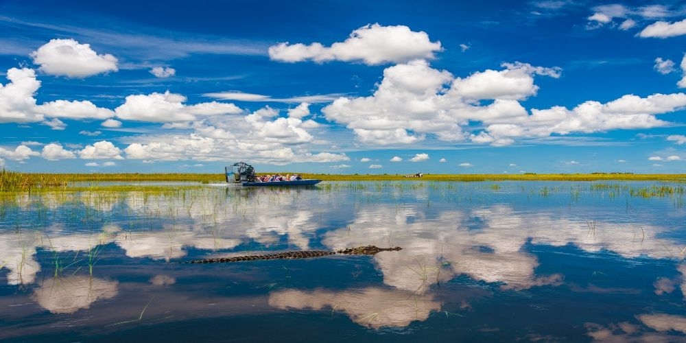 https://res.cloudinary.com/see-sight-tours/image/upload/v1674142339/strapi/1_Hero_Image_Gator_and_Boat_dee5ce7477.jpg