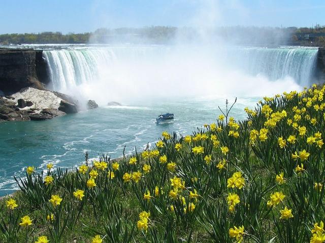 Hornblower vs. Journey Behind the Falls - See Sight Tours