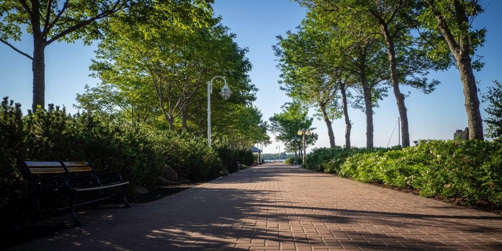 https://res.cloudinary.com/see-sight-tours/image/upload/v1678723350/strapi/4_Confederation_Landing_Park_d0400bf2f8.jpg