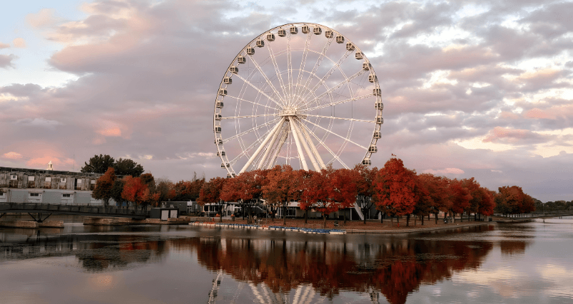 https://res.cloudinary.com/see-sight-tours/image/upload/v1711449351/strapi/Things_To_Do_In_Montreal_This_Weekend_fbf5d6cf0a.png