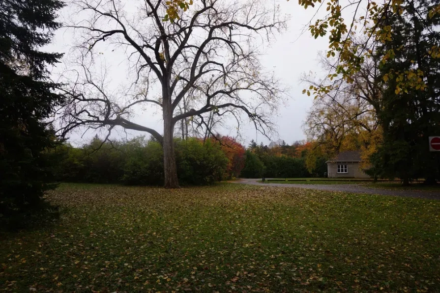 https://res.cloudinary.com/see-sight-tours/image/upload/v1738061890/strapi/Rockcliffe_Park_74aff6e405.webp