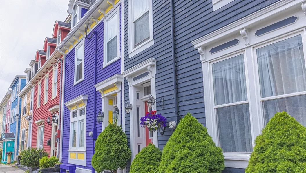 https://res.cloudinary.com/see-sight-tours/image/upload/v1738668559/strapi/Jellybean_Row_St_Johns_Newfoundland_8ee2c6f510.webp