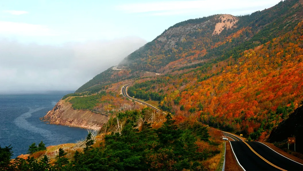 https://res.cloudinary.com/see-sight-tours/image/upload/v1738669091/strapi/Cape_Breton_Sydney_Nova_Scotia_f1adf945e9.webp