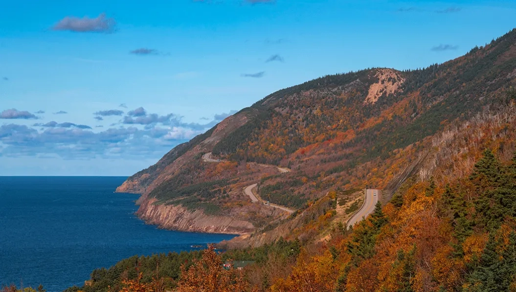 https://res.cloudinary.com/see-sight-tours/image/upload/v1738669091/strapi/Cape_Breton_Sydney_Nova_f4167b365b.webp