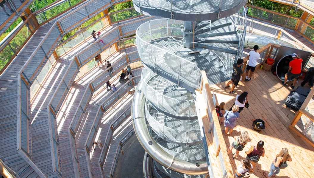 https://res.cloudinary.com/see-sight-tours/image/upload/v1738825044/strapi/malahat_skywalk1_fc330eddba.webp