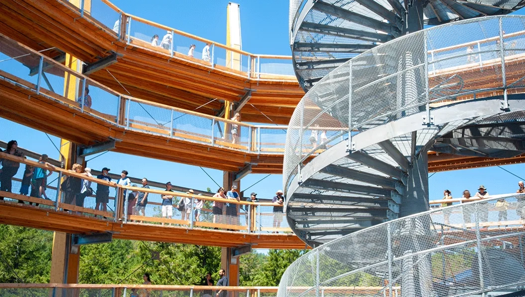 https://res.cloudinary.com/see-sight-tours/image/upload/v1738825044/strapi/malahat_skywalk2_4787fa2a66.webp