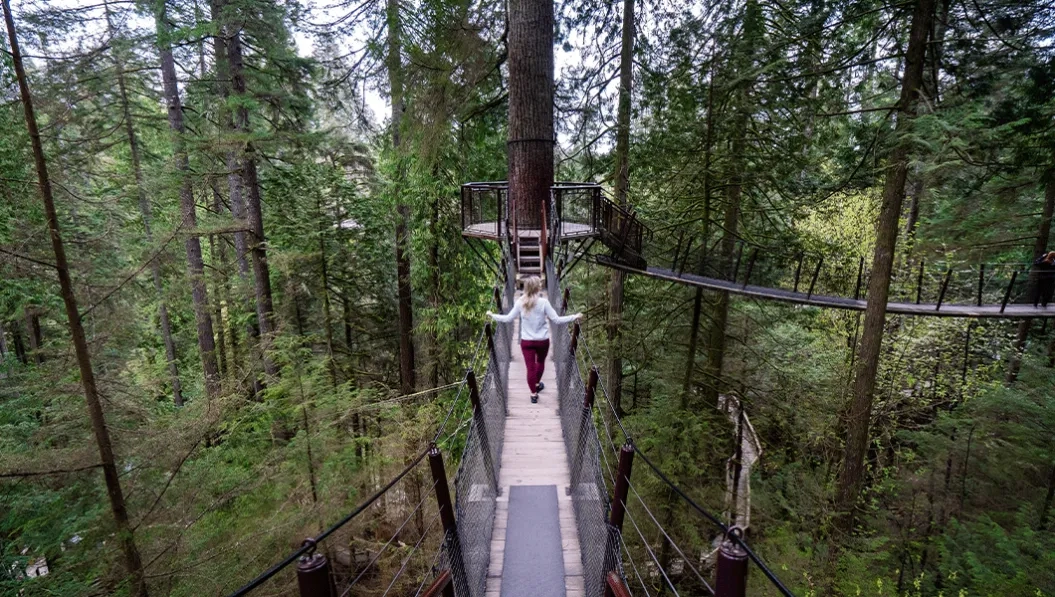 https://res.cloudinary.com/see-sight-tours/image/upload/v1739191751/strapi/Cliff_Walk_Vancouver_b27c988f0f.webp