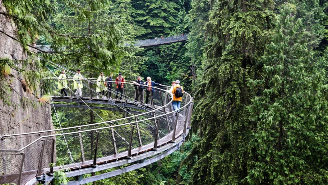 https://res.cloudinary.com/see-sight-tours/image/upload/v1739191908/strapi/Cliff_Walk_Vancouver_fb0bb90716.webp