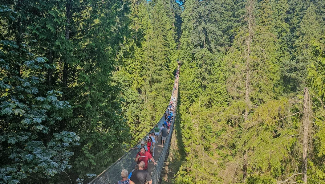 https://res.cloudinary.com/see-sight-tours/image/upload/v1739191908/strapi/Cliff_Walk_ed1426223e.webp