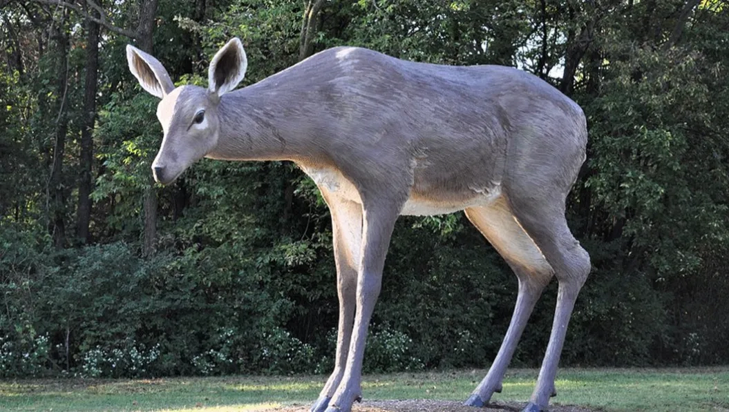 https://res.cloudinary.com/see-sight-tours/image/upload/v1739861437/strapi/Laumeier_Sculpture_Park_e334481fe0.webp