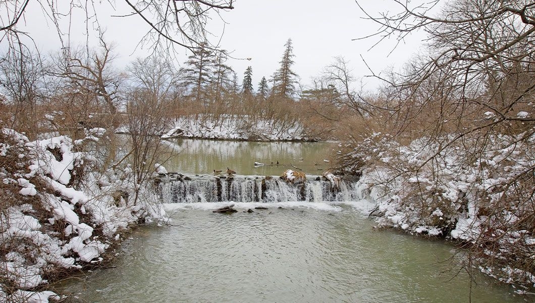 https://res.cloudinary.com/see-sight-tours/image/upload/v1744789909/strapi/Dufferin_Islands_Niagara_Falls_Ontario_081b947078.jpg