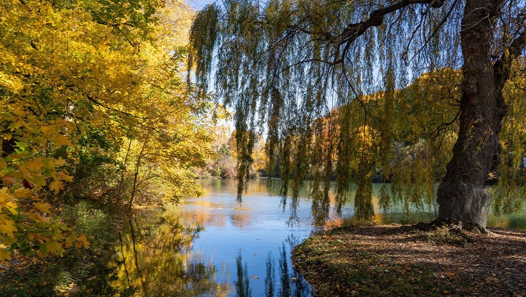 https://res.cloudinary.com/see-sight-tours/image/upload/v1744789909/strapi/Dufferin_Islands_Ontario_64def0db1d.jpg