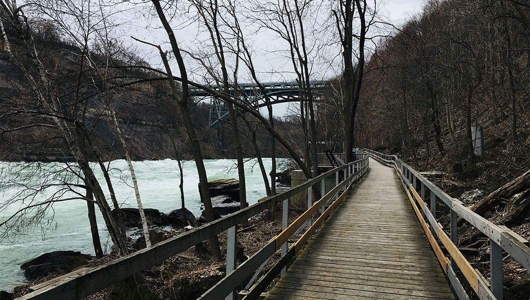 https://res.cloudinary.com/see-sight-tours/image/upload/v1744790228/strapi/White_Water_Walk_Niagara_Falls_Ontario_4bff016af3.jpg