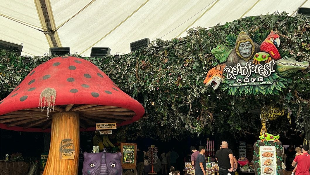 https://res.cloudinary.com/see-sight-tours/image/upload/v1744954565/strapi/Rainforest_Cafe_at_Sawgrass_Mills_Outlet_Mall_in_Sunrise_66b0653bc9.jpg
