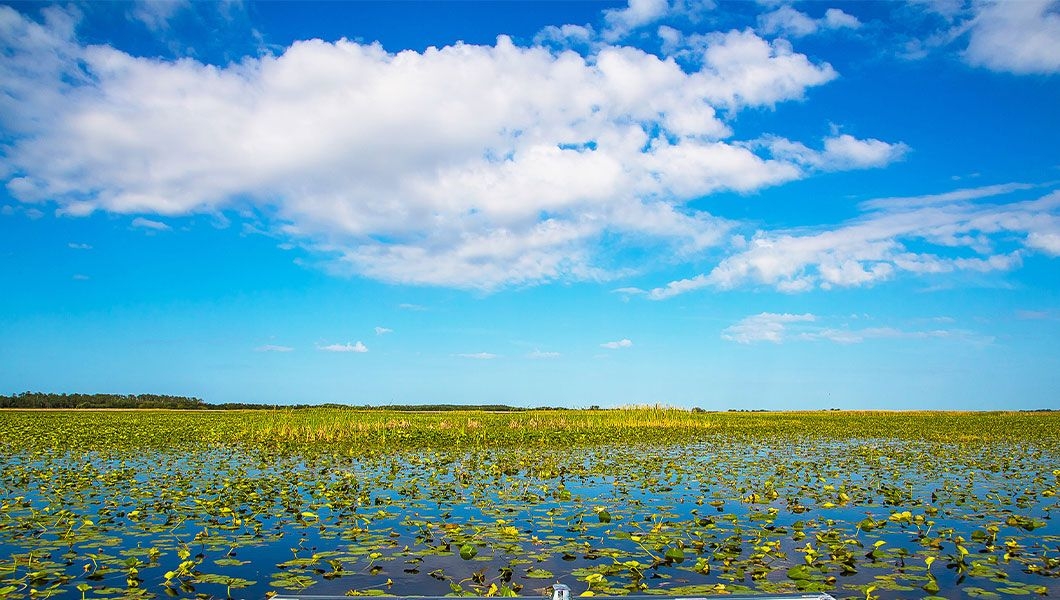 https://res.cloudinary.com/see-sight-tours/image/upload/v1744956276/strapi/Riding_in_the_Everglades_the_natural_region_of_wetlands_in_the_southern_portion_of_the_U_S_state_of_Florida_44d1dddcb0.jpg