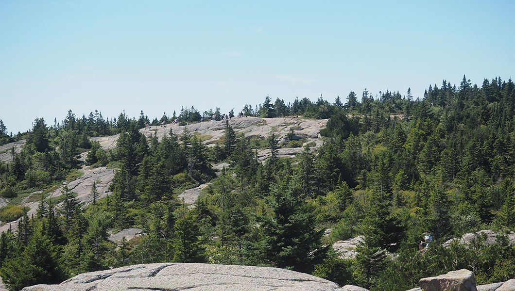 https://res.cloudinary.com/see-sight-tours/image/upload/v1744958894/strapi/View_of_Acadia_National_Park_40400543e3.jpg