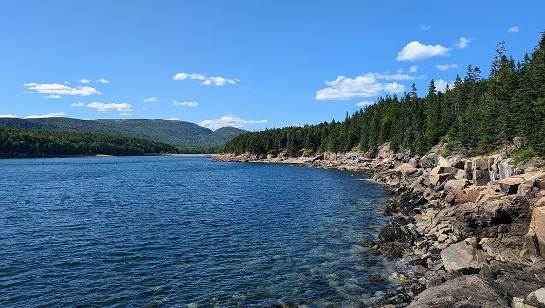 https://res.cloudinary.com/see-sight-tours/image/upload/v1744959572/strapi/Otter_Cliff_Main_Acadia_National_Park_d82f3a3e53.jpg