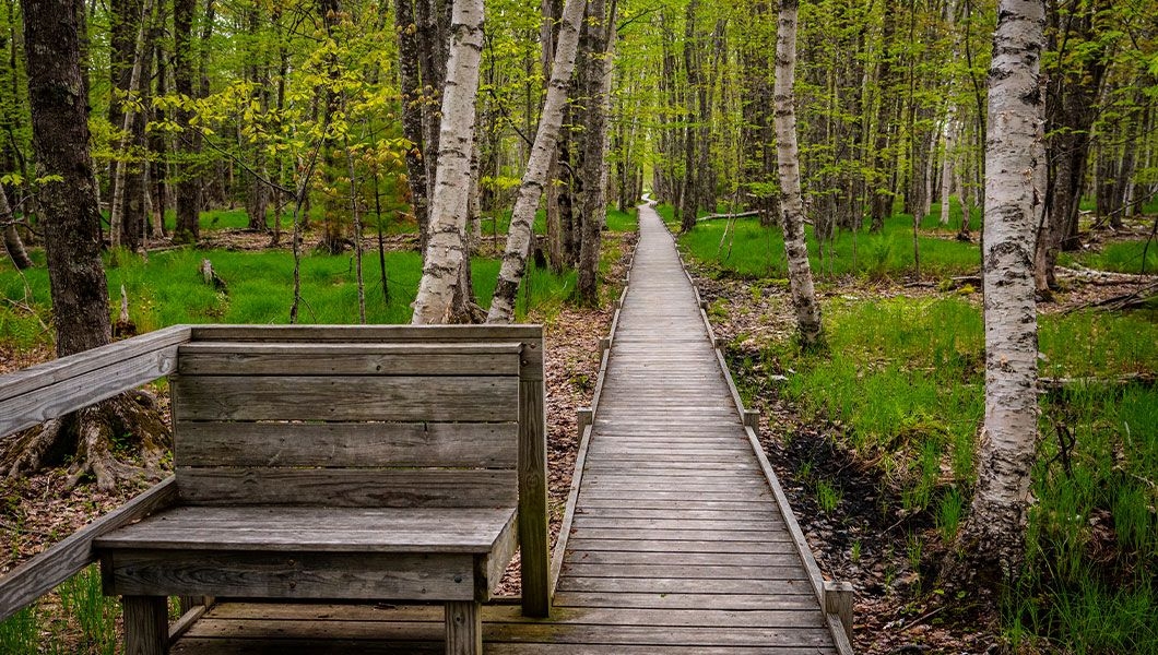 https://res.cloudinary.com/see-sight-tours/image/upload/v1745230127/strapi/Bar_Harbor_Sieur_De_Monts_Spring_89c2f95f90.jpg
