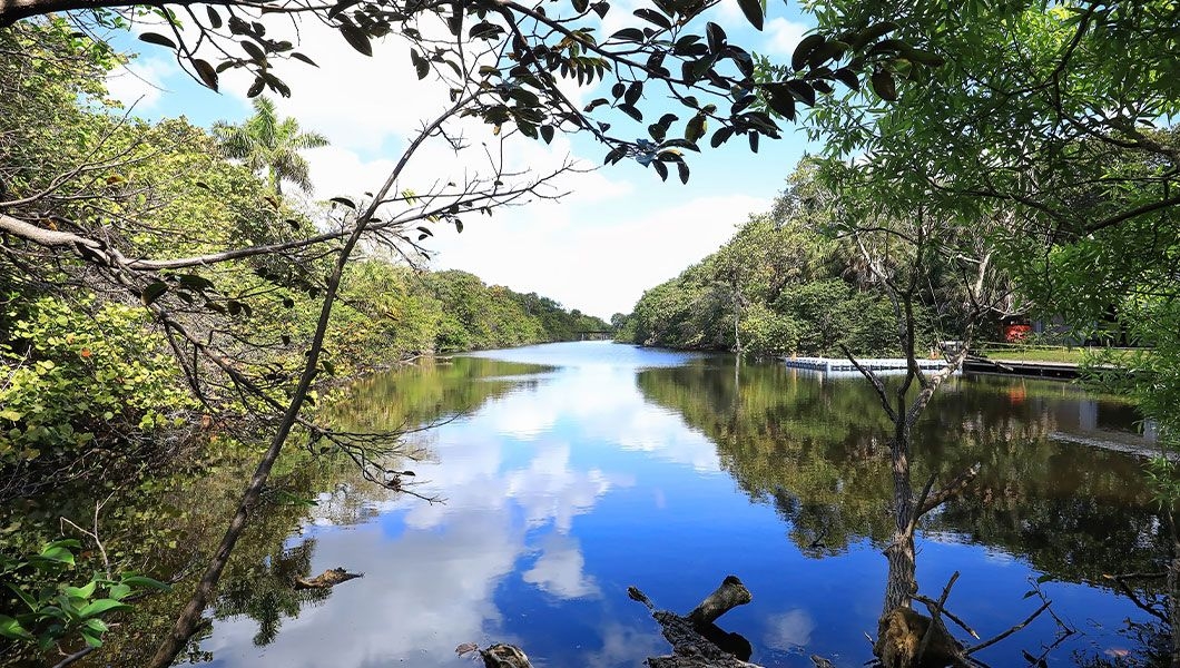 https://res.cloudinary.com/see-sight-tours/image/upload/v1745231465/strapi/a_fresh_water_lake_in_Hugh_Taylor_Birch_State_Park_4d79b9e36c.jpg
