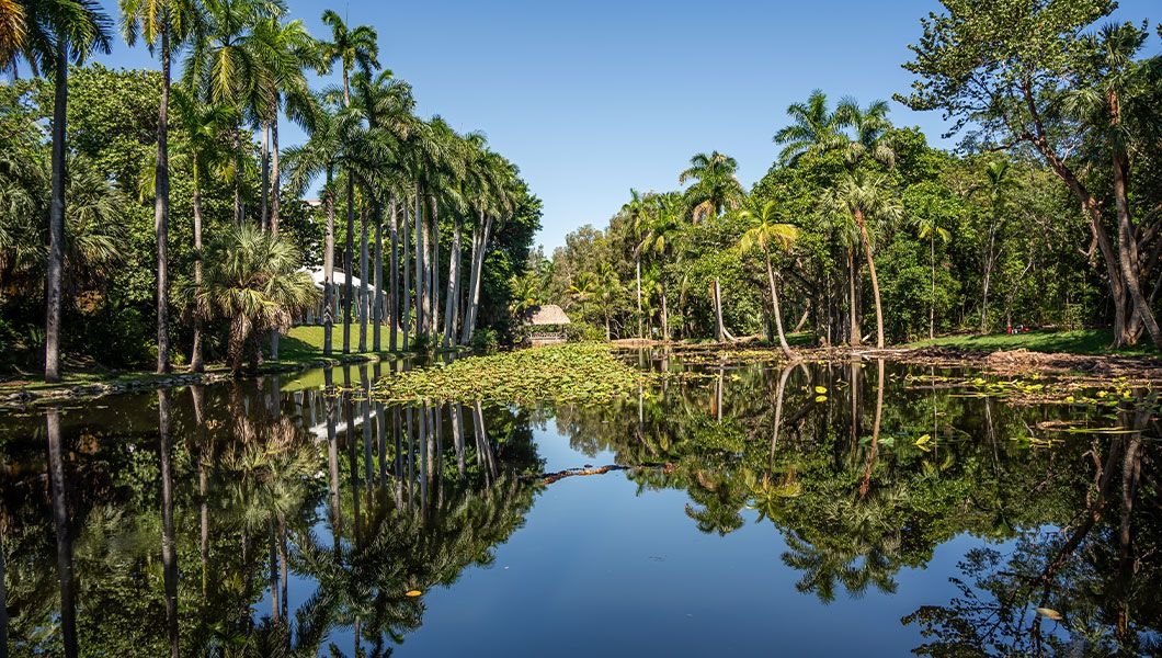 https://res.cloudinary.com/see-sight-tours/image/upload/v1745232706/strapi/Bonnet_House_museum_and_Gardens_Nature_Landscape_of_the_park_a09db7bd65.jpg