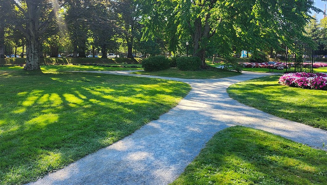 https://res.cloudinary.com/see-sight-tours/image/upload/v1745480767/strapi/Halifax_Canada_Public_Gardens_10ccf248fa.jpg