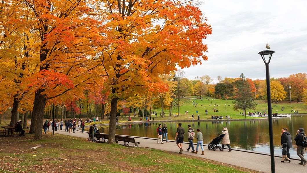 https://res.cloudinary.com/see-sight-tours/image/upload/v1745483291/strapi/Montreal_Mount_Royal_Canada_2c536106d5.jpg