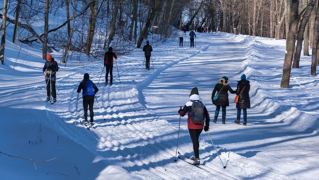 https://res.cloudinary.com/see-sight-tours/image/upload/v1745483291/strapi/Montreal_Mount_Royal_c1e3c0b124.jpg